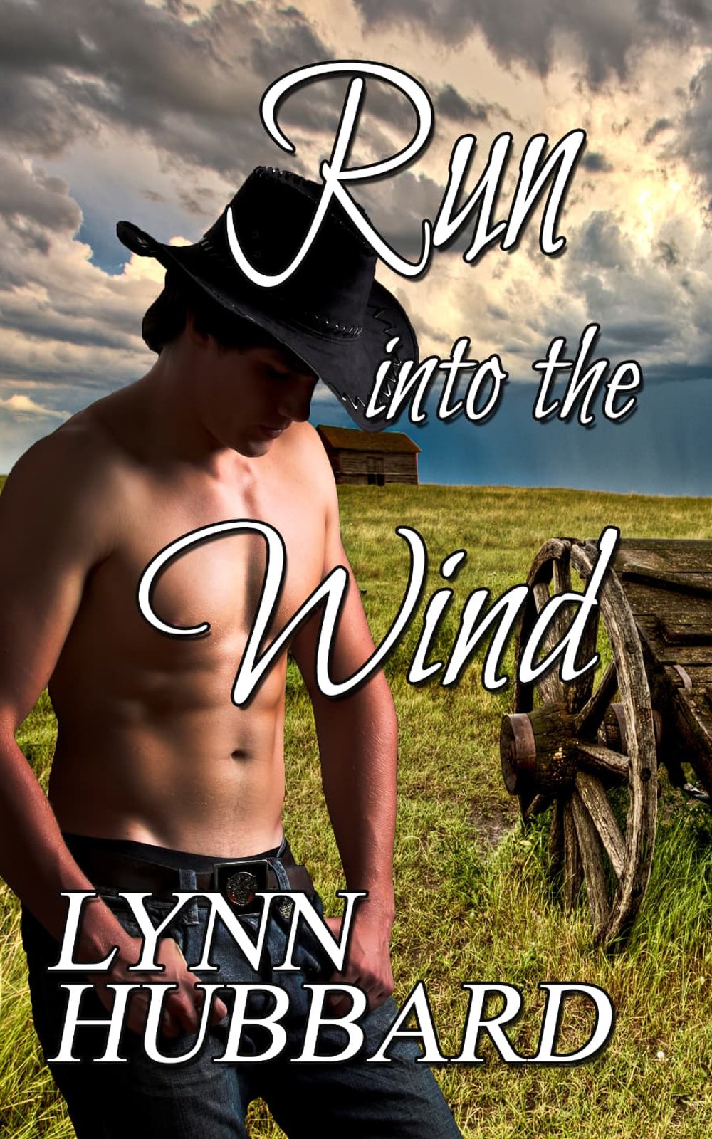 Cover of Run into the Wind by Lynn Hubbard
